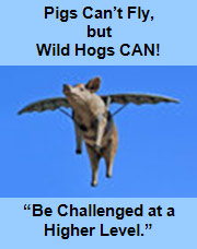 Pigs Can’t Fly, but Wild Hogs CAN!